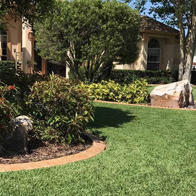 Flower Bed Maintenance