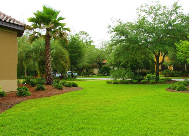 Flower Bed Mulching